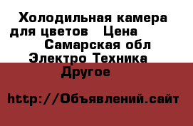Холодильная камера для цветов › Цена ­ 80 000 - Самарская обл. Электро-Техника » Другое   